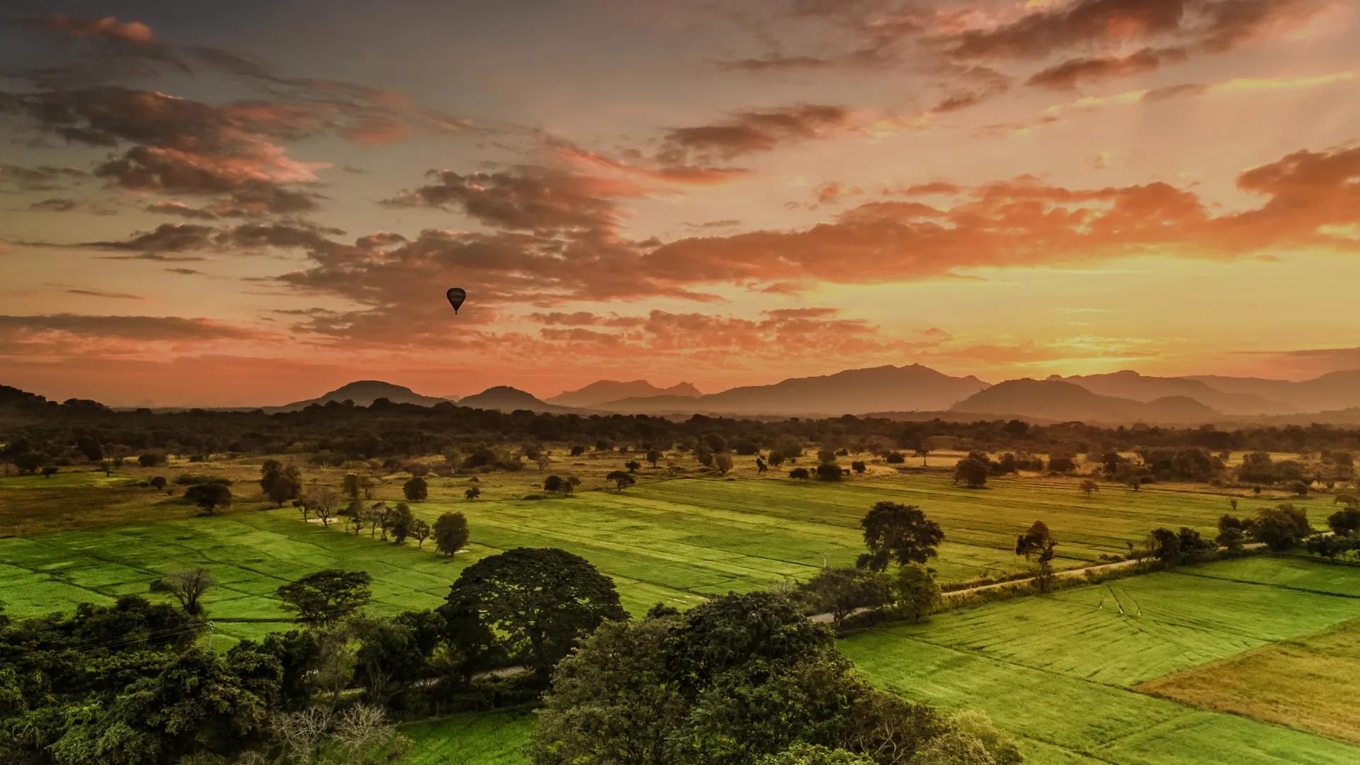 Discover our Luxury Sri Lanka Tour Packages